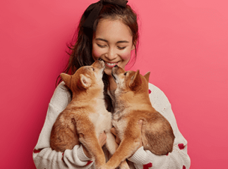 Cohabitation des chiens
